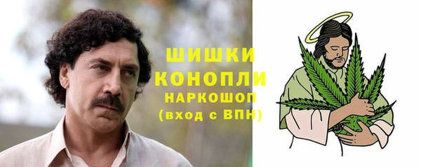 индика Зеленокумск