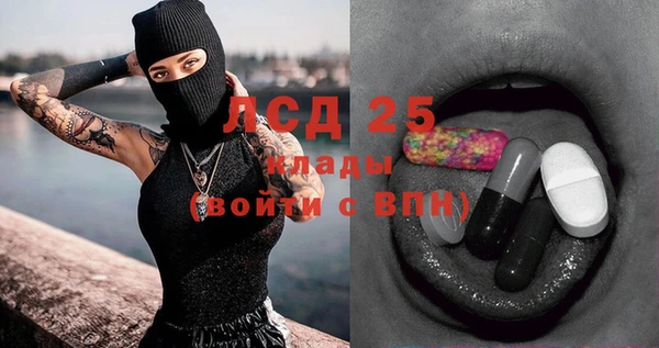 индика Зеленокумск